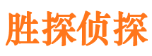 卢龙寻人公司